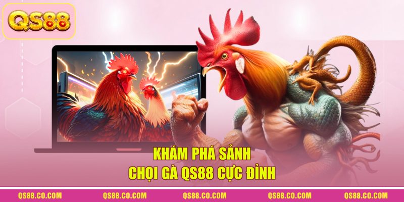Khám phá sảnh chọi gà QS88 cực đỉnh
