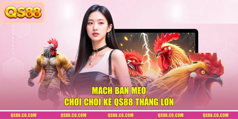Mách bạn mẹo chơi chọi kê QS88 thắng lớn