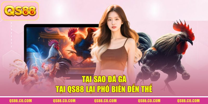 Tại sao đá gà tại QS88 lại phổ biến đến thế