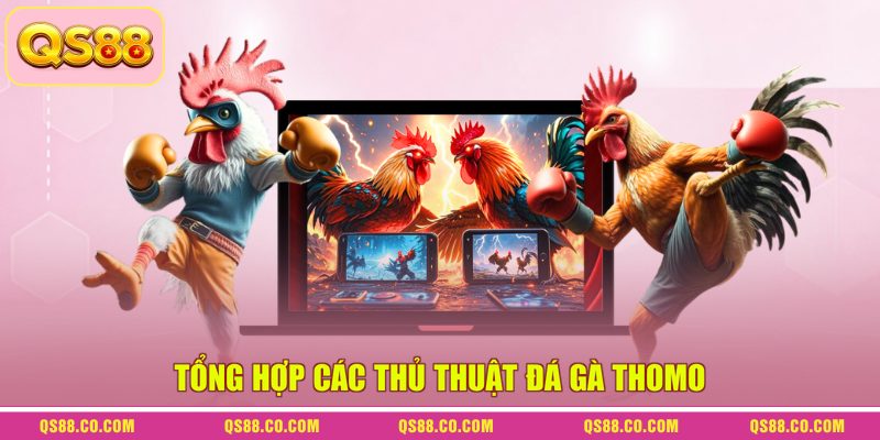 Tổng hợp các thủ thuật đá gà Thomo