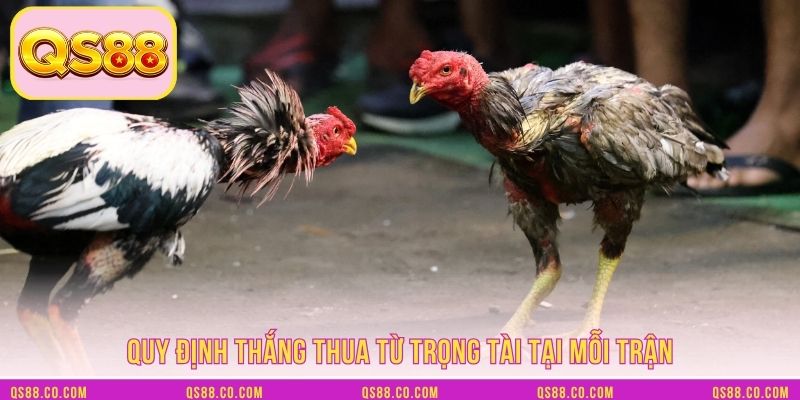 3 Quy tắc cơ bản cần nắm